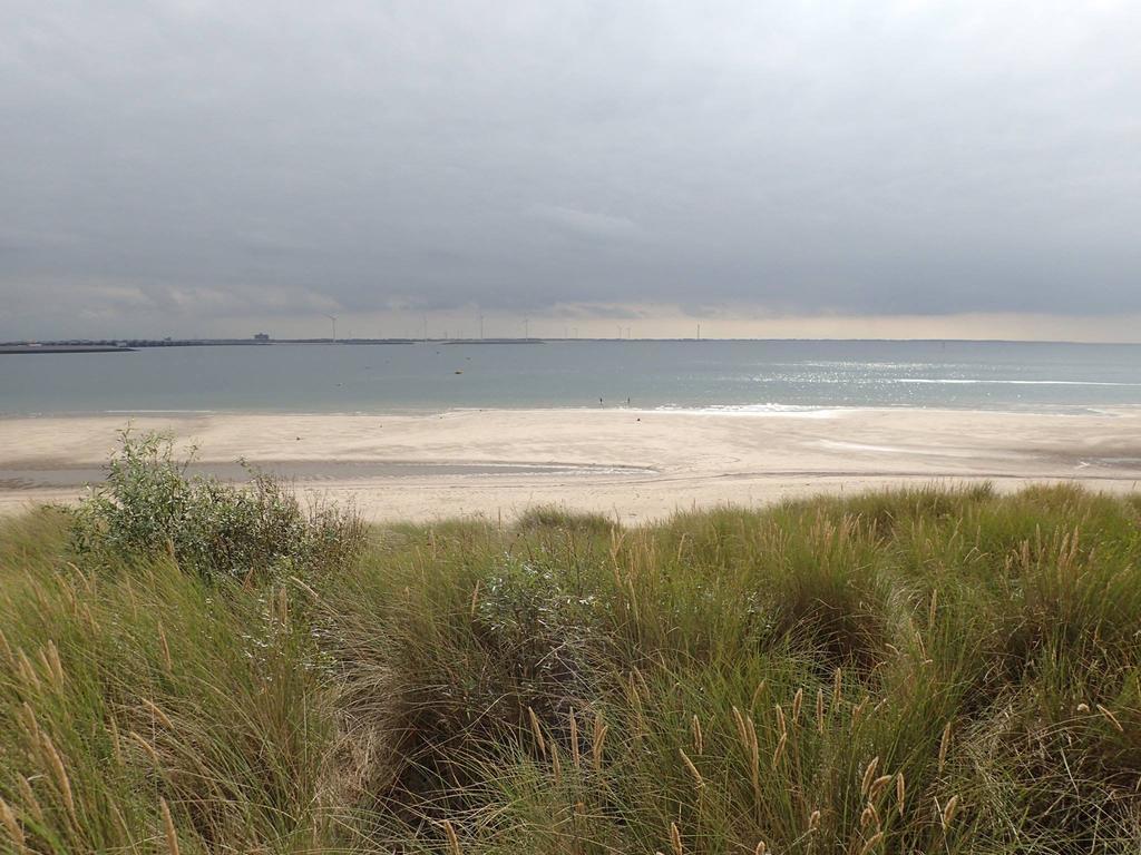La Casa Aan Zee Lägenhet Ellemeet Exteriör bild