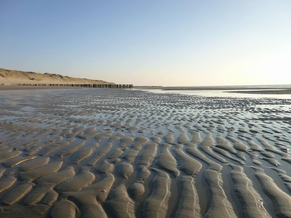 La Casa Aan Zee Lägenhet Ellemeet Exteriör bild