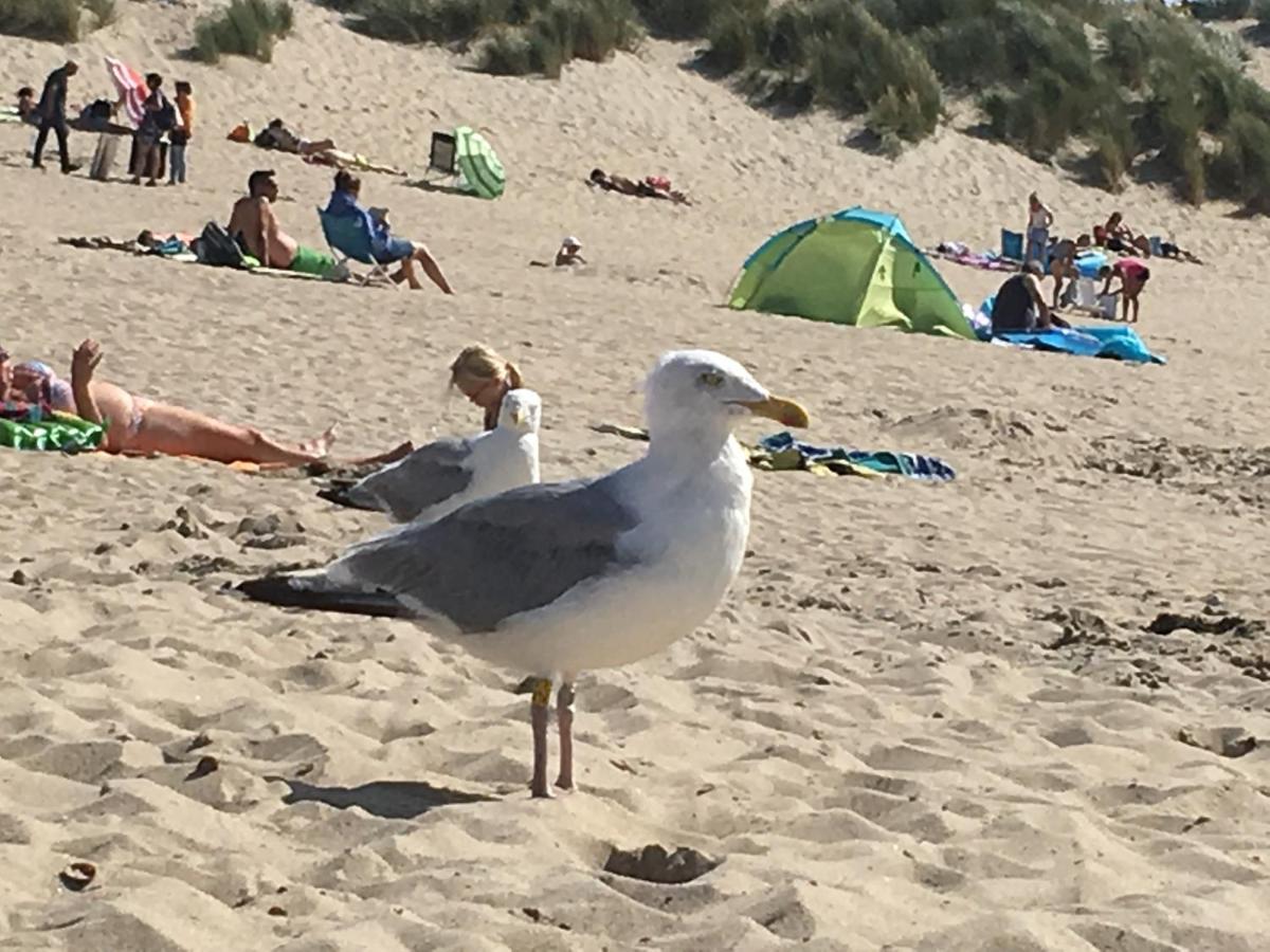 La Casa Aan Zee Lägenhet Ellemeet Exteriör bild